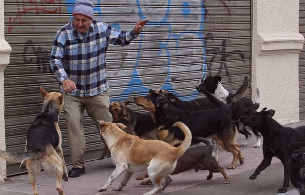 que significa soñar que te muerde un perro