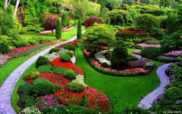 Que significa soñar con un jardín