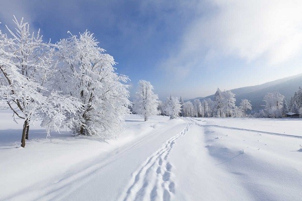 Que significa soñar con nieve