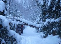 Que Significa Soñar con Nieve cayendo?