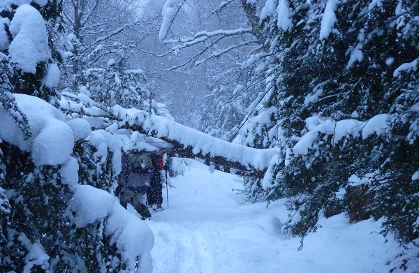 que significa soñar con nieve cayendo