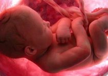 Que Significa Soñar con Aborto?