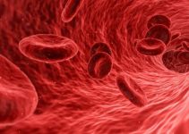 ¿Qué significa Soñar con Sangre?